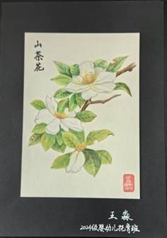 中草药手绘图谱山茶花